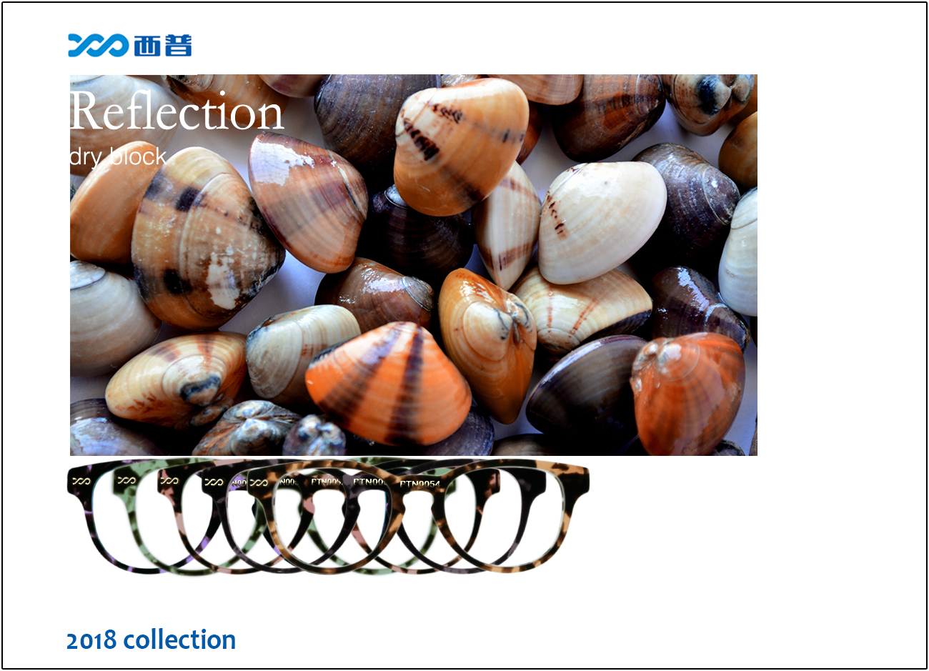 2018 collection of Reflection